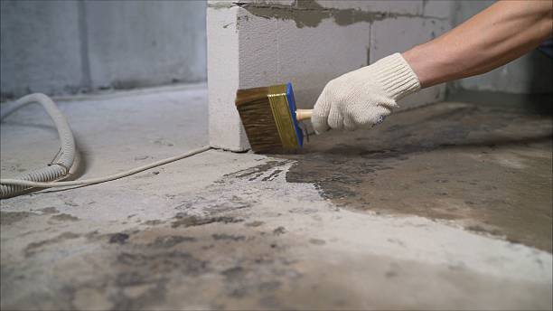 SJ Waterproofing Pros Waterproofing coverage map for Tipton, MI and surrounding area